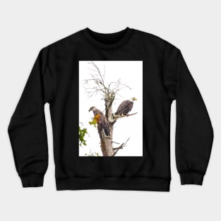 The Eagle's Perch Crewneck Sweatshirt